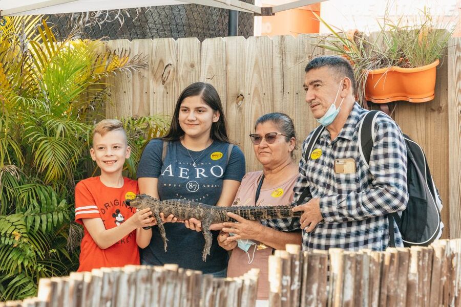 From Miami: Everglades Airboat, Wildlife Show & Bus Transfer - Is $49 good value?