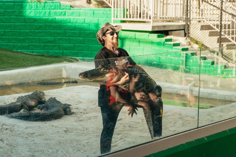 From Miami: Everglades Airboat, Wildlife Show & Bus Transfer - Who will enjoy this trip most?