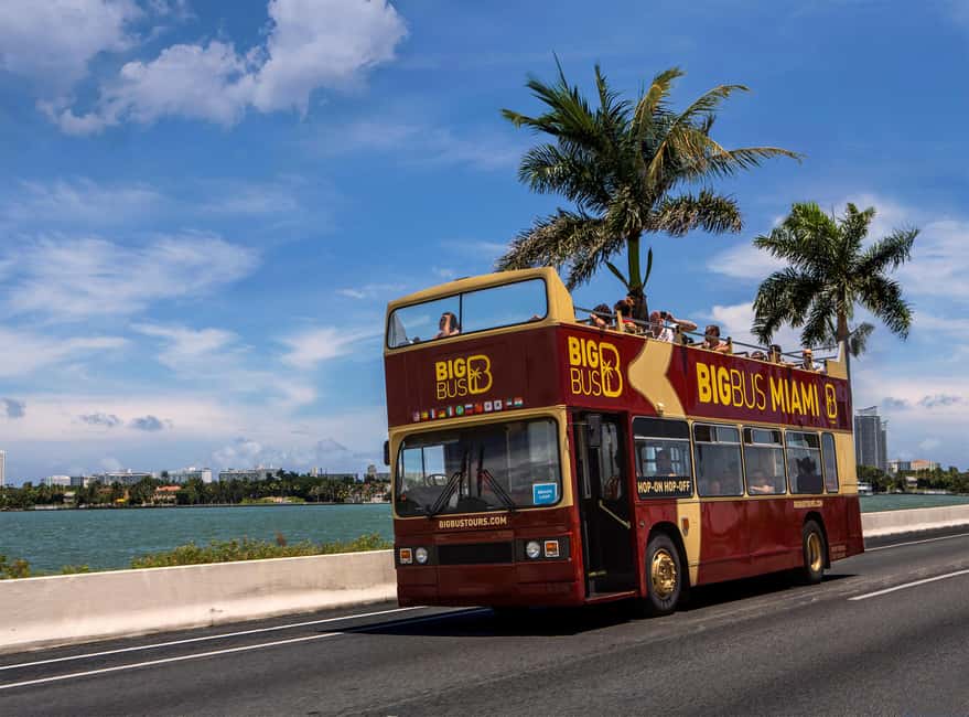 From Miami: Everglades, Wildlife Show, & Hop-on Hop-off Tour - Who should book this experience?