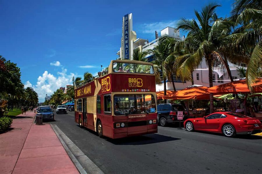 From Miami: Everglades, Wildlife Show, & Hop-on Hop-off Tour - The alligator and wildlife show