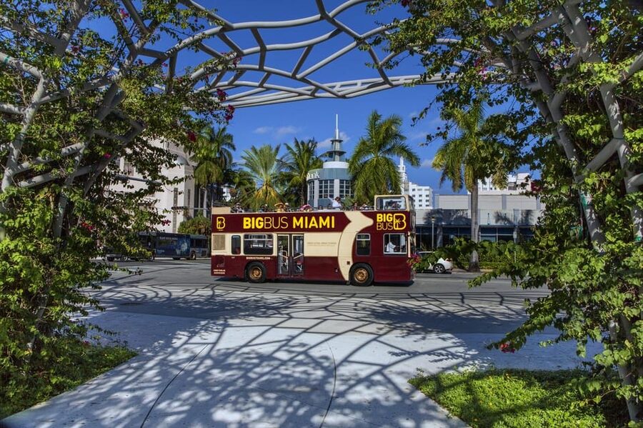 From Miami: Everglades, Wildlife Show, & Hop-on Hop-off Tour - Returning to Miami and using the Big Bus pass