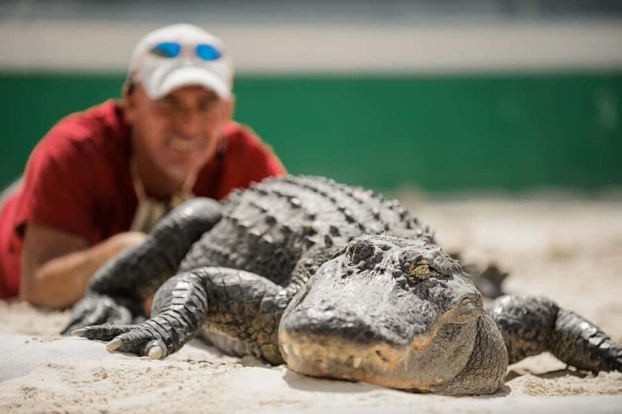 From Miami: Everglades, Wildlife Show, & Hop-on Hop-off Tour - What each Miami stop offers