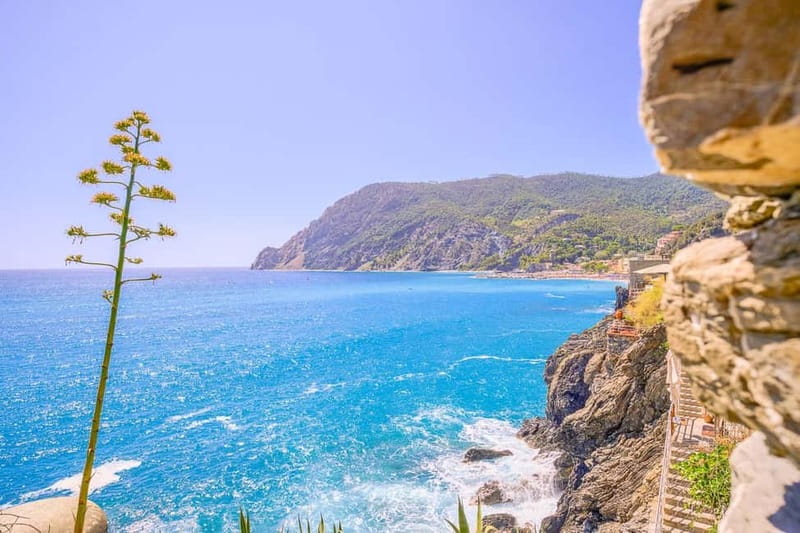 From Milan:Cinque Terre National Park with Limoncino Tasting - What the $81 price really covers