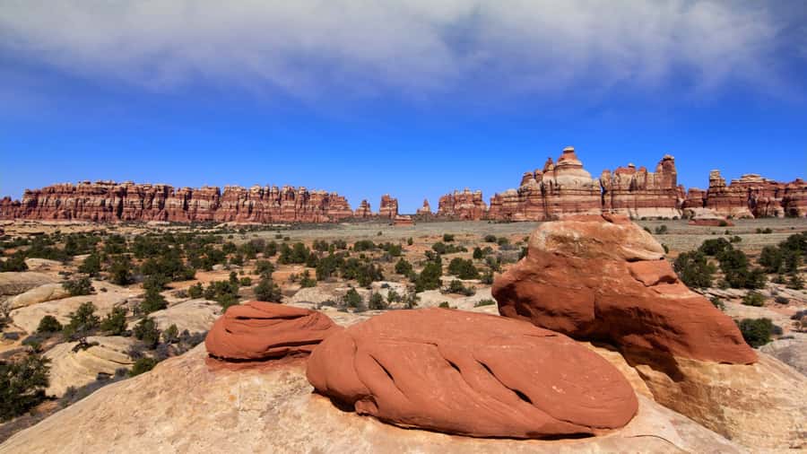 From Moab: Canyonlands Needle District 4x4 Tour - Elephant Hill, SOB Hill, and The Squeeze