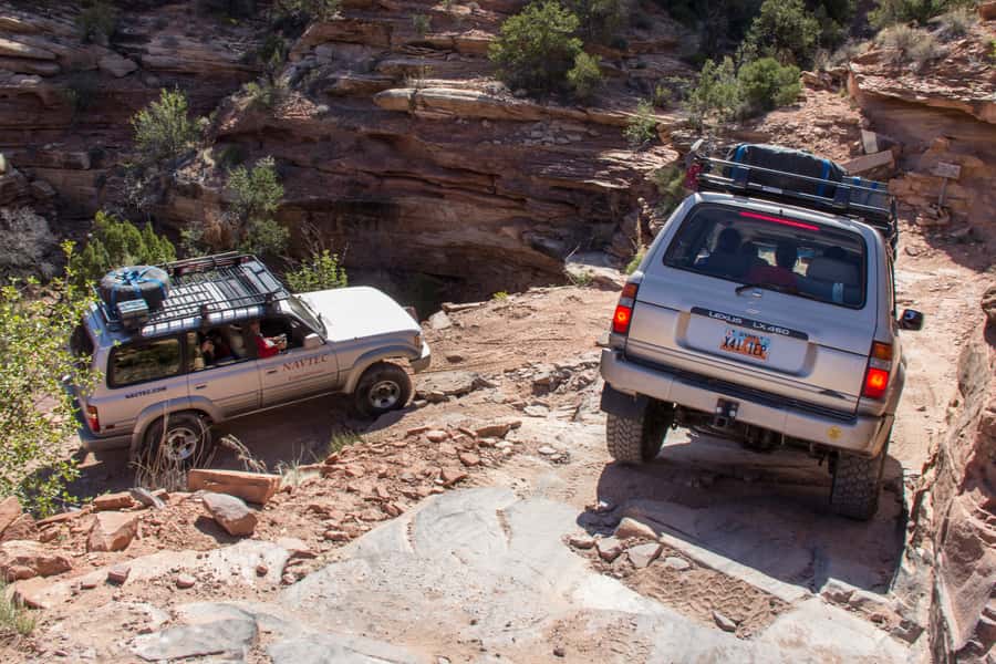 From Moab: Canyonlands Needle District 4x4 Tour - What $353 gets you