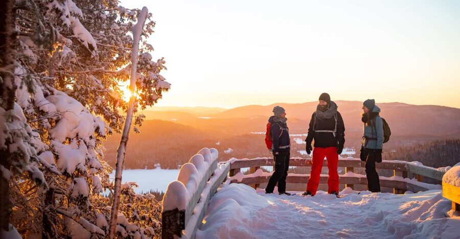 From Montreal: Mont-Tremblant National Park Hiking Day Trip - Key points at a glance