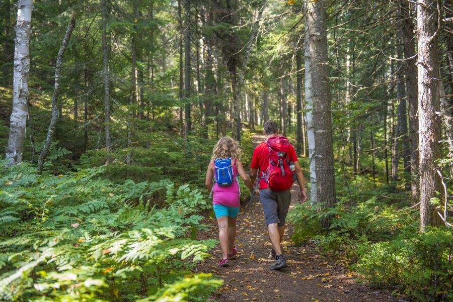 From Montreal: Mont-Tremblant National Park Hiking Day Trip - Is $72 good value?