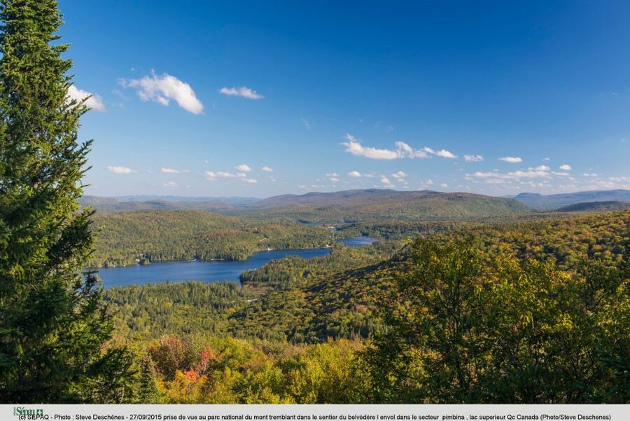 From Montreal: Mont-Tremblant National Park Hiking Day Trip - Forest picnic time around noon