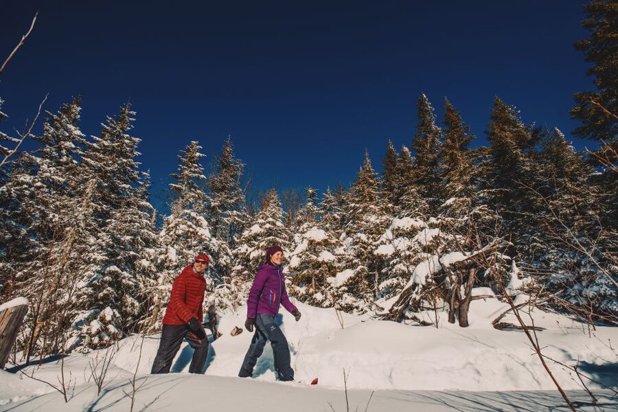 From Montreal: Mont-Tremblant National Park Hiking Day Trip - What makes the guides useful