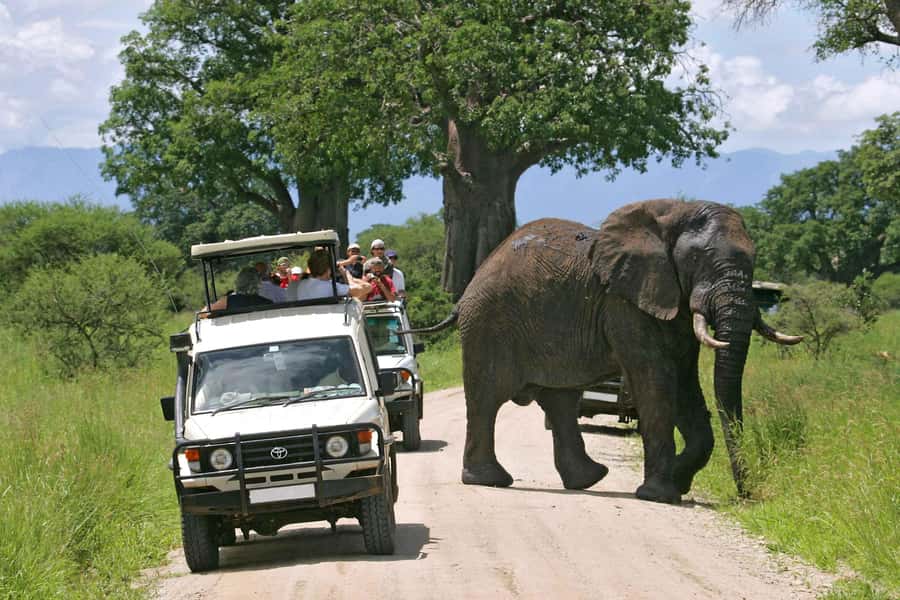 From Nairobi: 2-Day Amboseli National Park Safari - Arriving in Amboseli around midday