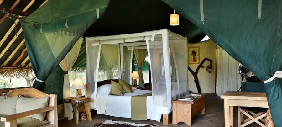 From Nairobi: 2-Day Amboseli National Park Safari - Weather, wildlife, and realistic expectations