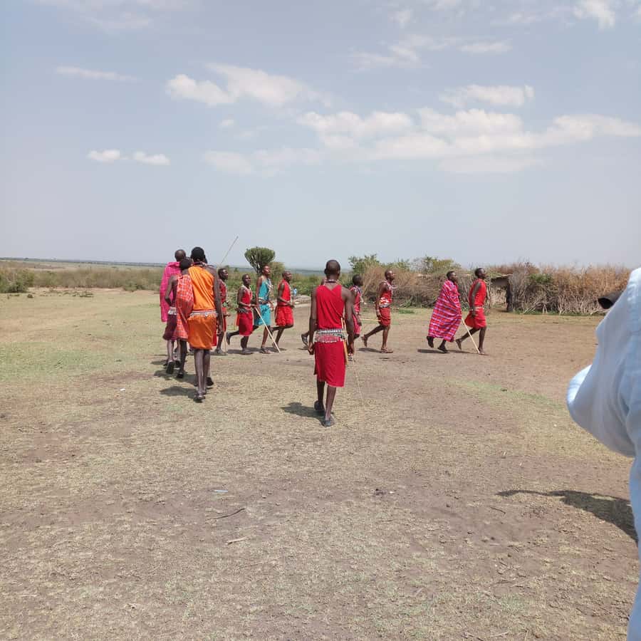 From Nairobi: 3 Days, 2 Nights Maasai Mara Group Safari - What the $199 price really means