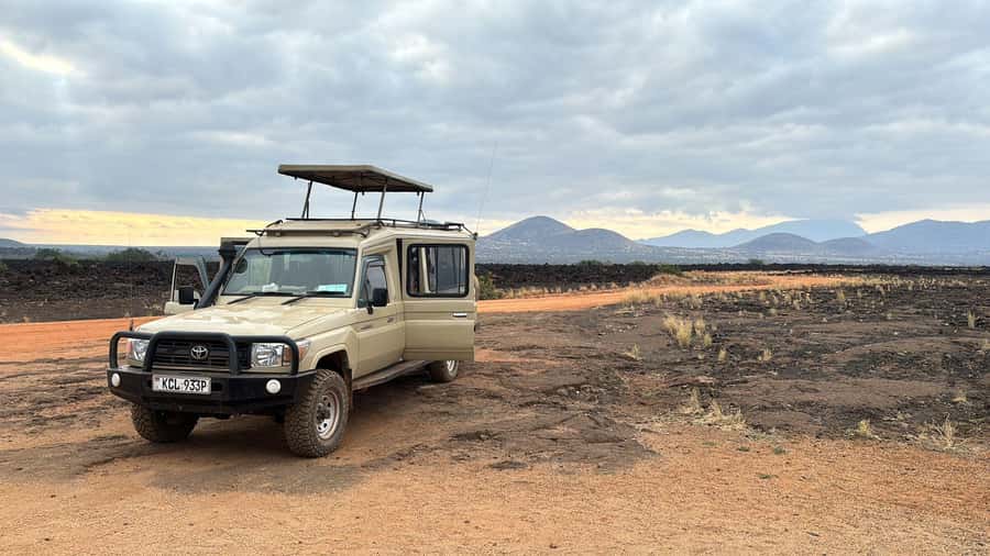 From Nairobi: 4-Day Maasai Mara and Lake Nakuru Group Safari - Day two: a full day among Mara cats and elephants