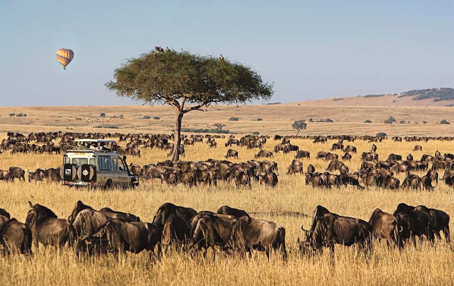 From Nairobi: 4-Day Maasai Mara and Lake Nakuru Group Safari - What the USD 350 price really covers