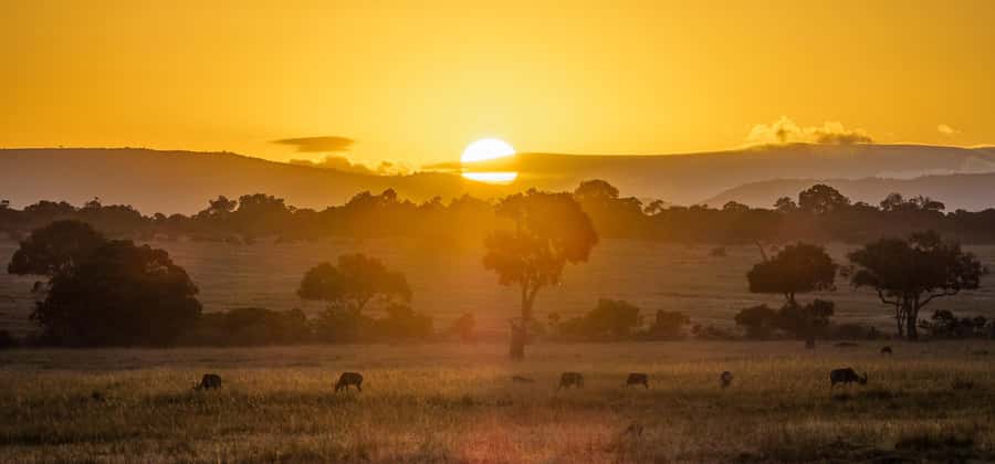 From Nairobi: 4-Day Maasai Mara and Lake Nakuru Group Safari - Day one: Nairobi, the Rift Valley, and the first Mara drive