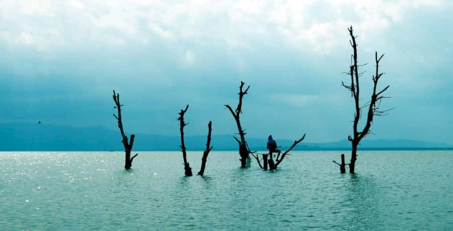 From Nairobi: Lake Naivasha and Hell's Gate Park Day Tour - Walking through gorges and caves