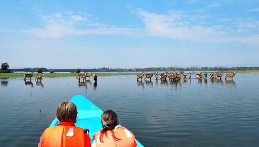 From Nairobi: Lakes Nakuru & Naivasha National Park Day Tour - The Morning Drive from Nairobi