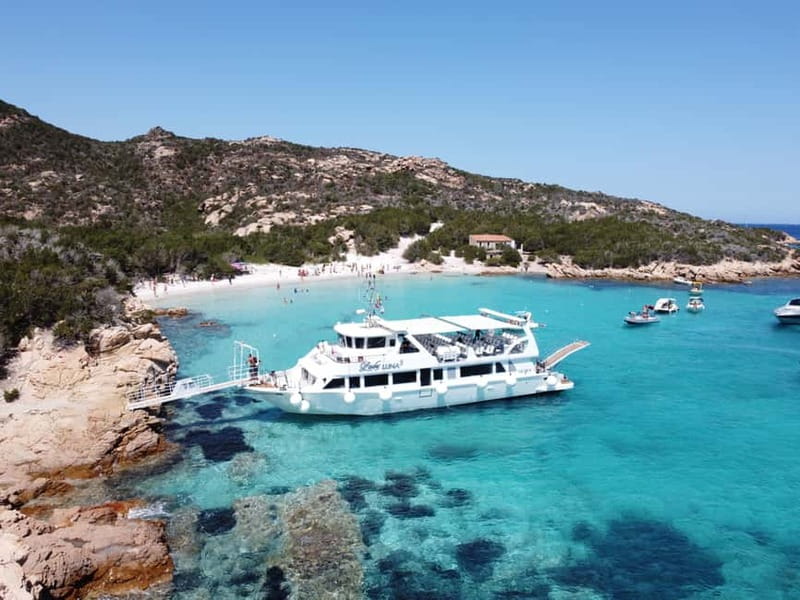 From Palau: La Maddalena Archipelago 4 Stops Boat Tour - The best parts of the day at a glance