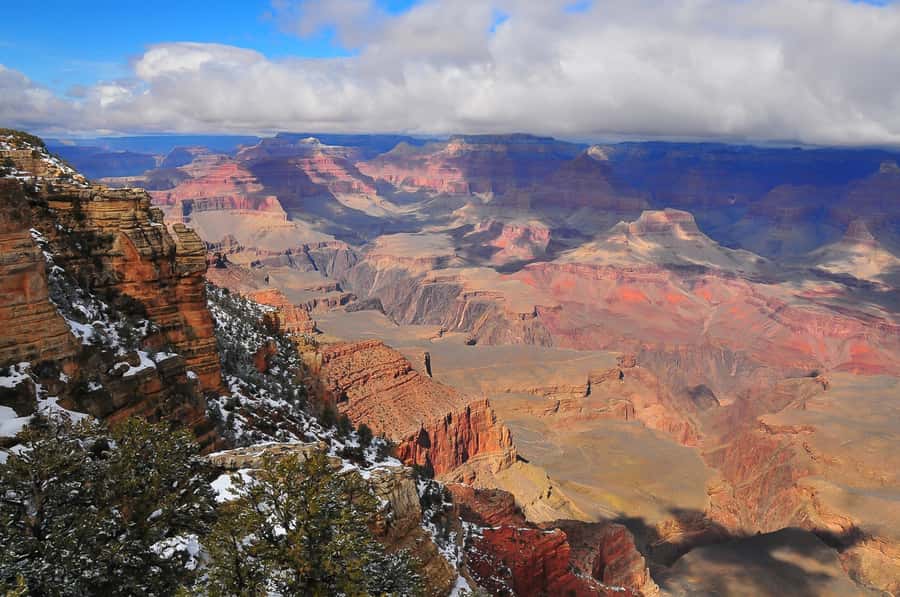 From Phoenix: Grand Canyon, Sedona, and Oak Creek Day Trip - Flagstaff and the change from desert to pine forest
