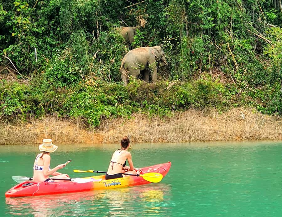 From Phuket : Explore Cheow Lan Lake Khao Sok : All Included - The three-hour journey from Phuket