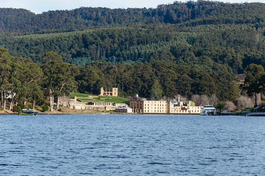 From Port Arthur: Tasman Island Wilderness Cruise - Who should book the Tasman Island Wilderness Cruise?