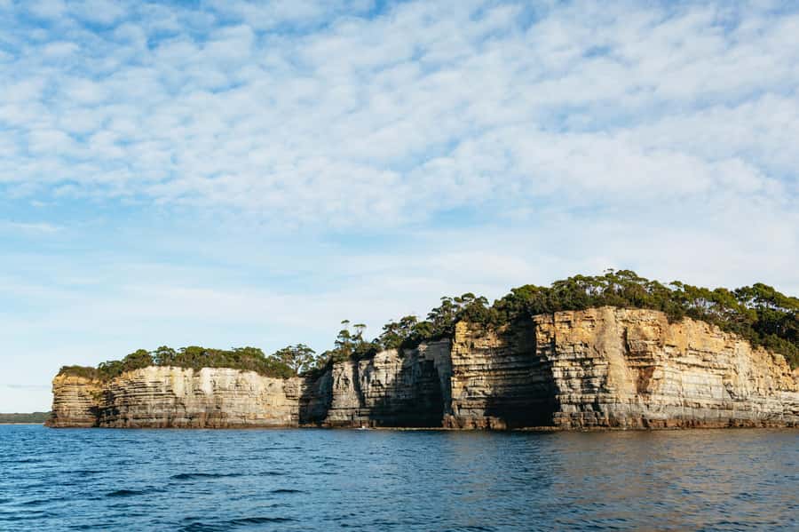 From Port Arthur: Tasman Island Wilderness Cruise - Seals, dolphins, seabirds, and migrating whales