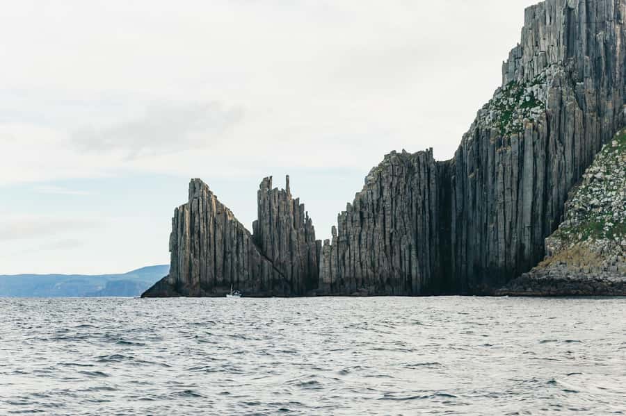 From Port Arthur: Tasman Island Wilderness Cruise - Is $127 good value for three hours?