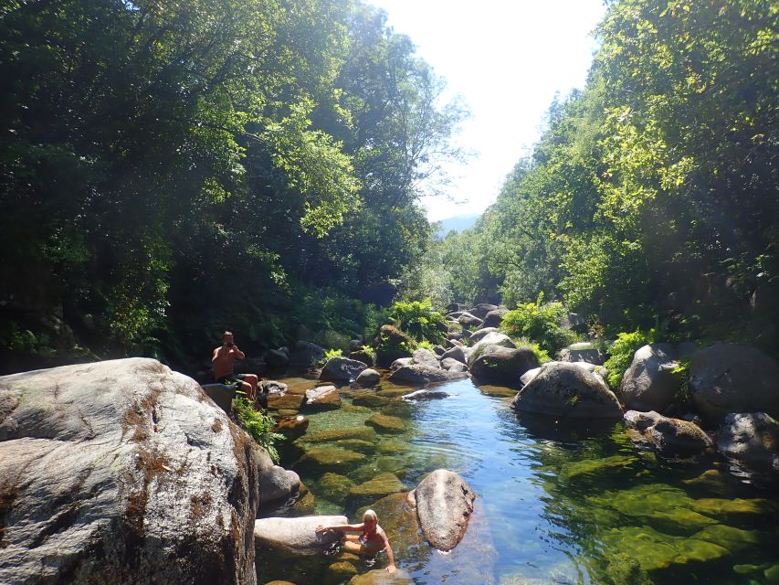 From Porto: Peneda-Gerês National Park Tour with Lunch - Who will enjoy this most?