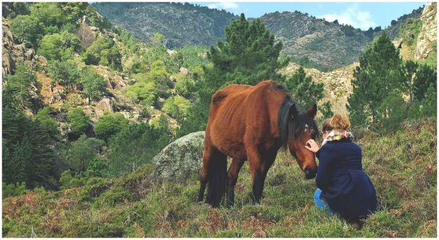 From Porto: Peneda-Gerês National Park Tour with Lunch - The environmental project adds purpose