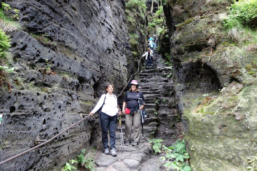 From Prague: Bohemian & Saxon Switzerland All Inclusive Tour - The guide can shape the day