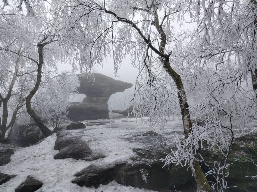 From Prague: Bohemian & Saxon Switzerland Iconic Day Trip - What $151 buys you