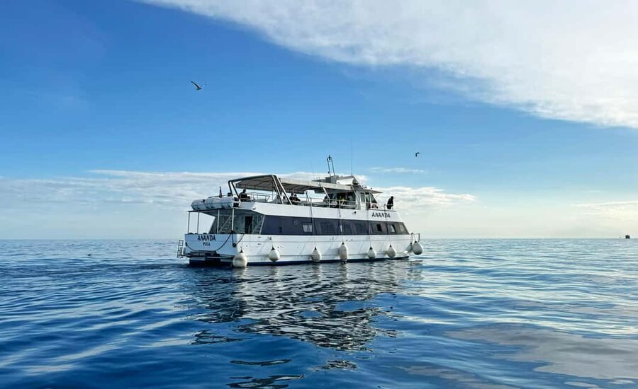 From Pula: Rovinj & NP Brijuni cruise with Red Island visit - Setting out from Pula’s harbor