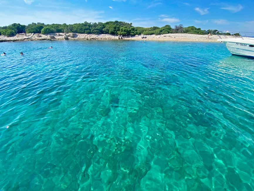 From Pula: Rovinj & NP Brijuni cruise with Red Island visit - Rovinj in 45 minutes: a short first taste