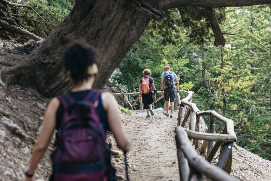 From Rethymno: Samaria Gorge Full-Day Trek, Pickup & Guide - The Samaria Gorge reward: dramatic rock formations