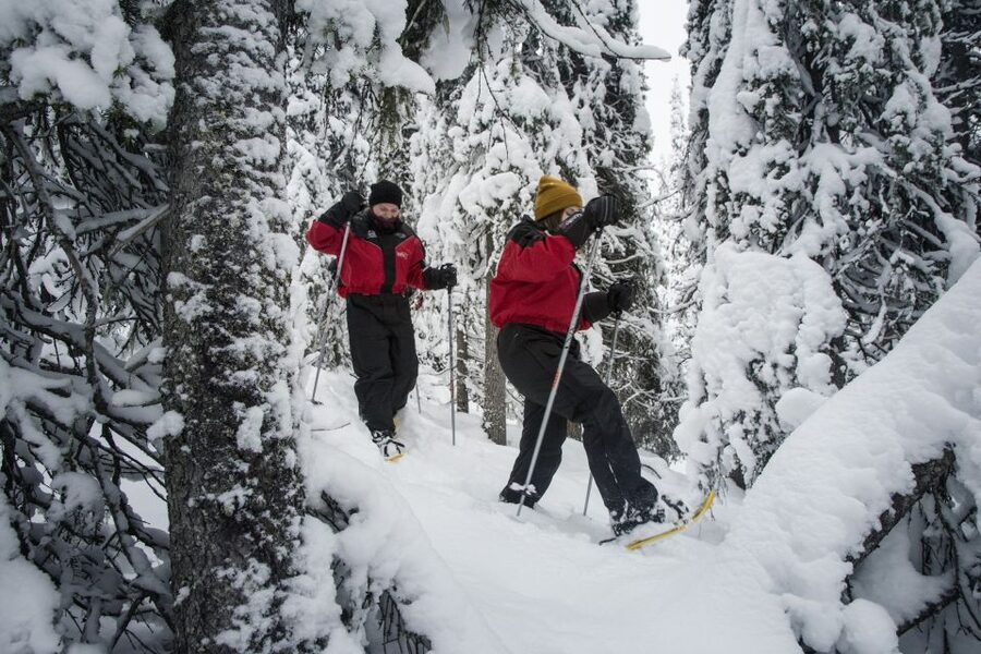 From Ruka: Snowshoeing in Oulanka National Park - Key points to know before booking
