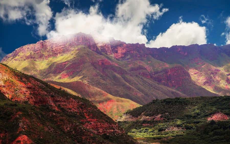 From Salta: Cachi and Los Cardones National Park Tour - Los Cardones National Park and the cactus country