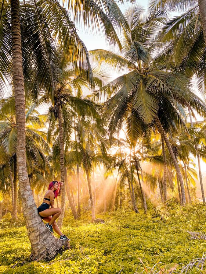 From Santa Marta: Tayrona National Park Guided Tour - Why Tayrona is worth the long day