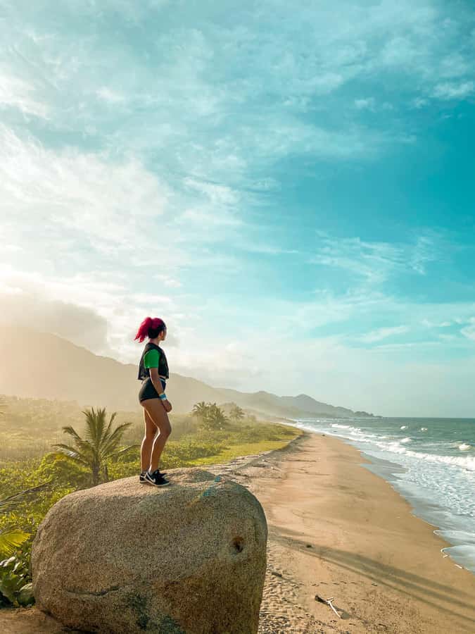 From Santa Marta: Tayrona National Park Guided Tour - The forest trail through Cañaveral and Arrecifes