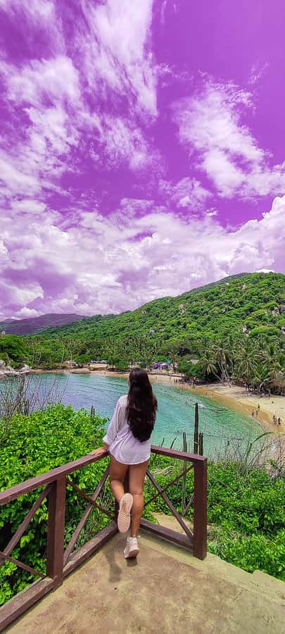 From Santa Marta: Tayrona National Park Guided Tour - Spanish guiding and group management