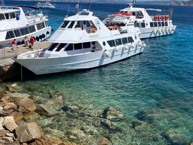 From Santa Teresa Gallura: La Maddalena Archipelago Cruise - Budelli and the view of Pink Beach