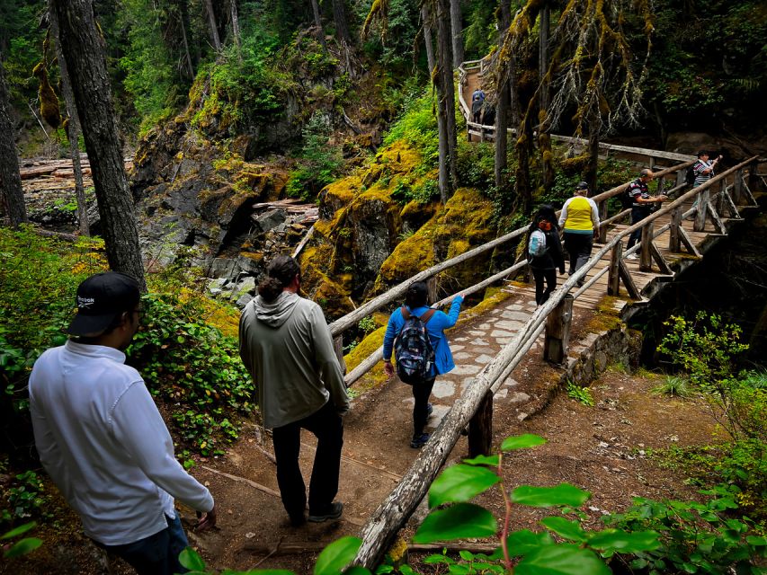 From Seattle: Mount Rainier National Park Guided Tour - What makes this Mount Rainier day tour worth considering