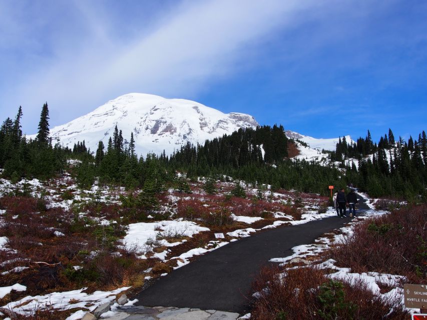 From Seattle: Mount Rainier National Park Guided Tour - Old-growth forest, waterfalls, and the first mountain views