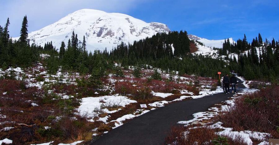 From Seattle: Mount Rainier National Park Guided Tour - Winter at Mount Rainier