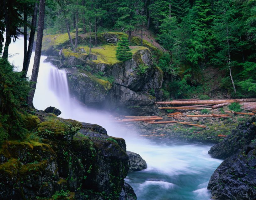 From Seattle: Mount Rainier National Park Guided Tour - Who should book this tour?
