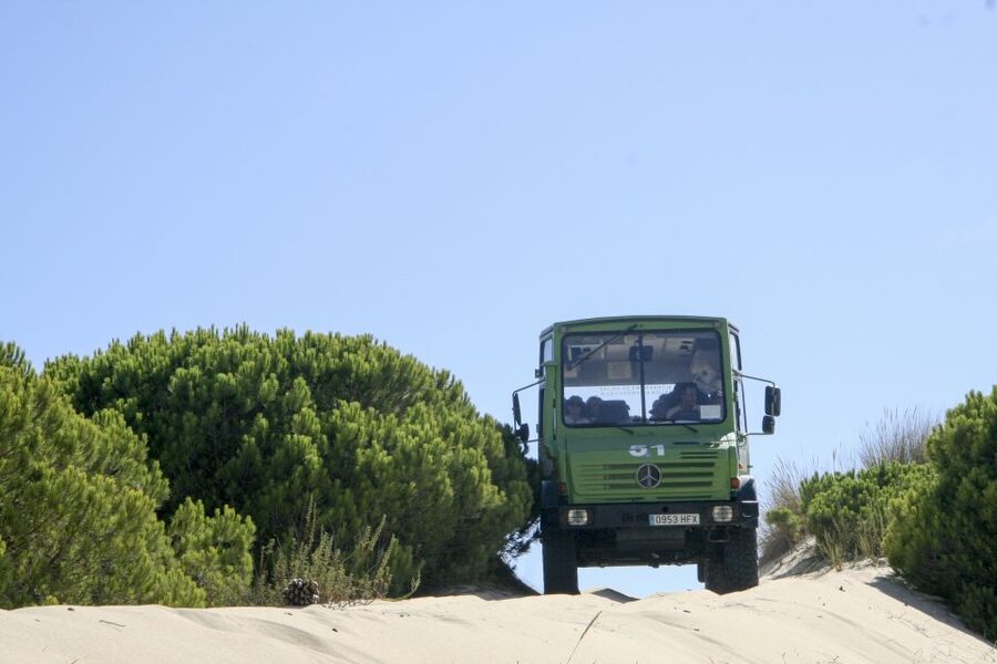 From Seville: Doñana Natural Park, El Rocio and Matalascañas - Why Doñana makes this day trip special