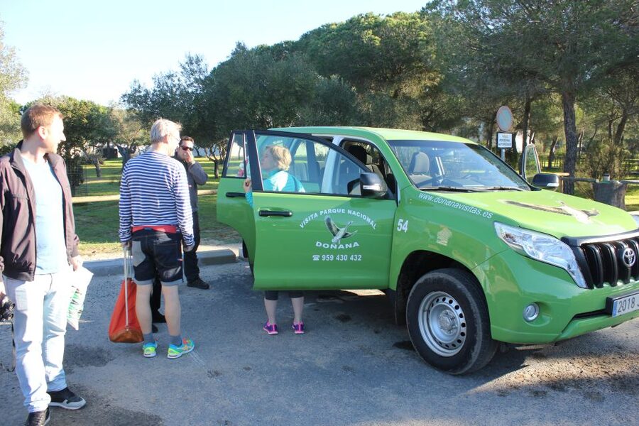 From Seville: Doñana Natural Park, El Rocio and Matalascañas - Comfort, timing, and who should book