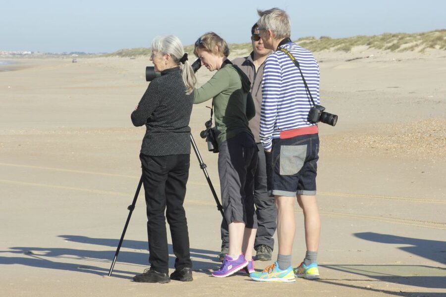 From Seville: Doñana Natural Park, El Rocio and Matalascañas - Should you book this Doñana day trip?