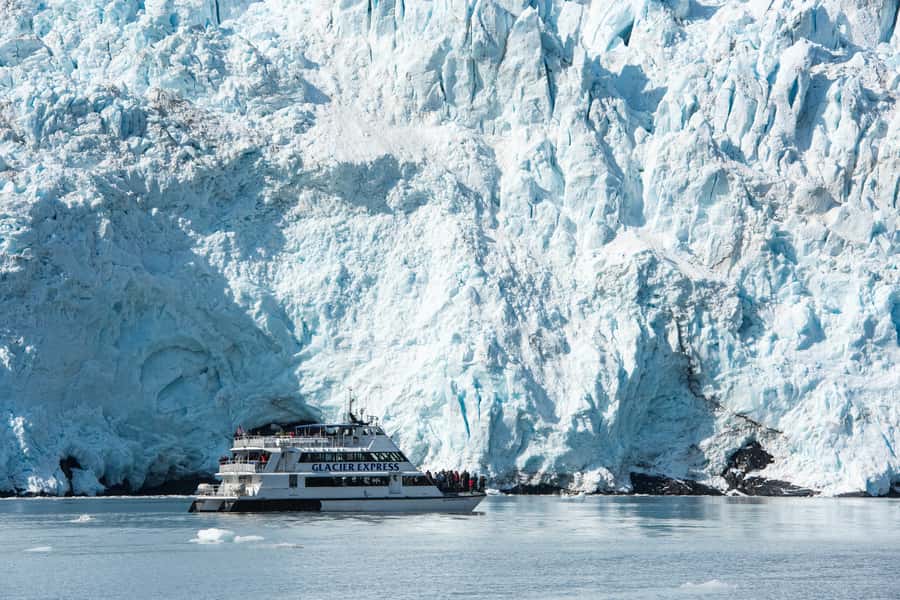 From Seward: Kenai Fjords National Park Cruise with Lunch - Why this Seward cruise earns a full day