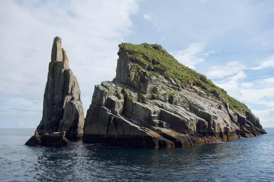 From Seward: Kenai Fjords National Park Cruise with Lunch - A steady catamaran with room to watch