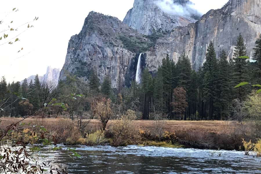 From SF: Yosemite Day Trip with Giant Sequoias Hike & Pickup - Tuolumne Grove adds ancient trees to the day